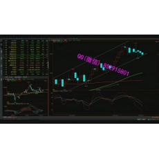 刘子楷 缠论中枢理论启动战法实盘捕捉强势涨停 股票内部培训视频课程