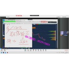 张峻齐 裸K支撑阻力测算市场深度订单流交易策略高级现场班 外汇实战培训视频课程