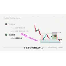 太妃 价格行为等距离运动原理回调均线交易法持续形态 外汇加密货币实战视频培训课程 赠讲义