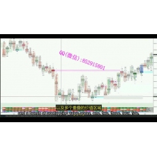 Mike 流动性多空专责订单流深度数据足迹图量价分析 外汇加密实战培训视频课程