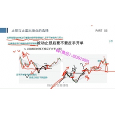 杨焱之 趋势起爆点被动止盈止损交易周期涨跌判断方法 期货实战培训视频课程