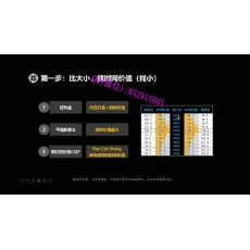 沈宗逸 波动率操盘权利金秘密收割策略 期权内部培训视频课程