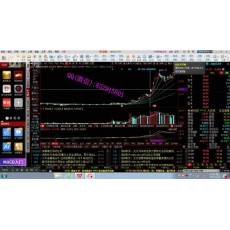 龙头大表姐 择时周期理论龙头战法选股 股票内部培训视频课程